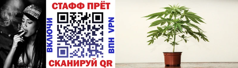Галлюциногенные грибы Богородск