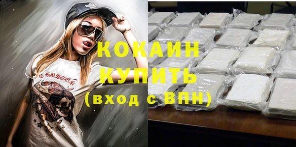 тгк Пересвет