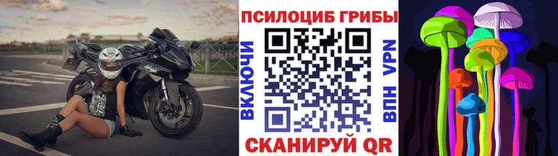 Галлюциногенные грибы мицелий  Богородск 
