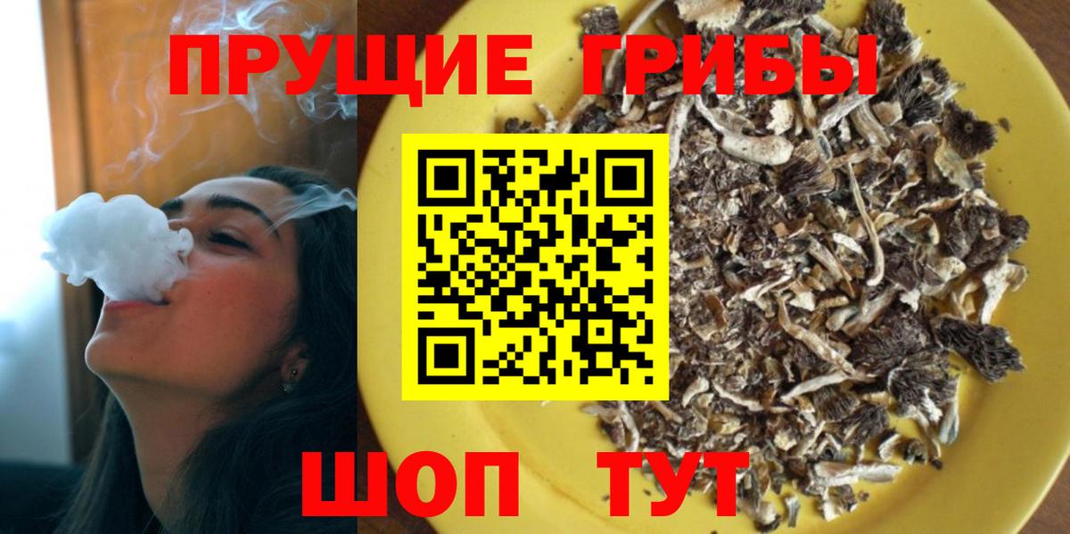 Псилоцибиновые грибы GOLDEN TEACHER Богородск