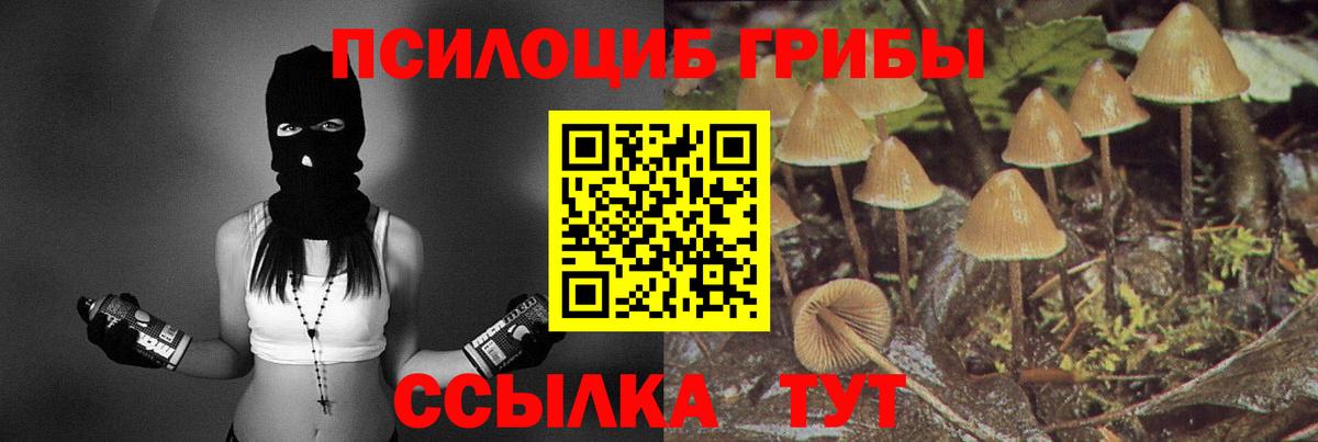 Галлюциногенные грибы MAGIC MUSHROOMS  Богородск 