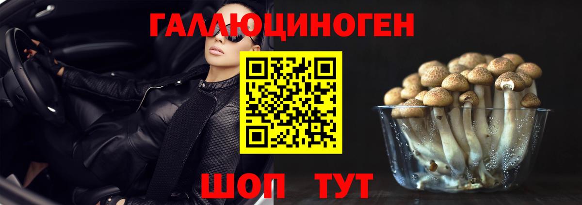 Богородск  Псилоцибиновые грибы Psilocybe  Вход с VPN 